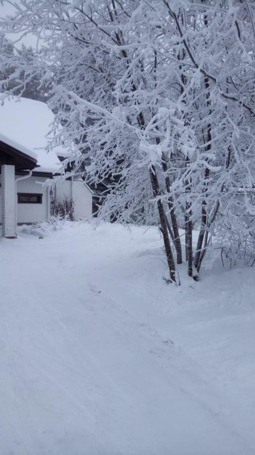 Villa The House Near Santa Park à Rovaniemi Extérieur photo