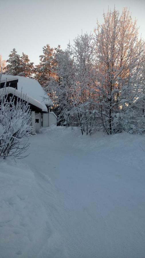 Villa The House Near Santa Park à Rovaniemi Extérieur photo